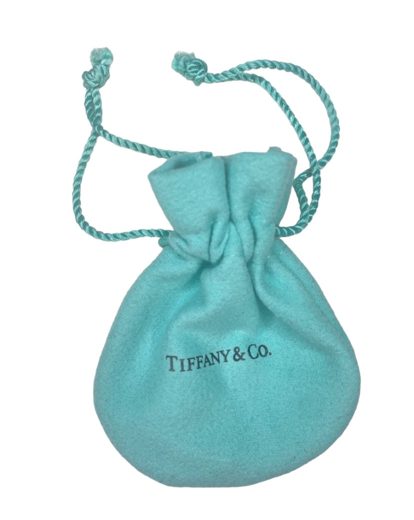 Tiffany & Co. gift bag