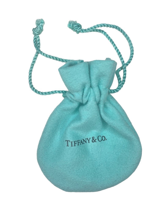 Tiffany & Co. gift bag